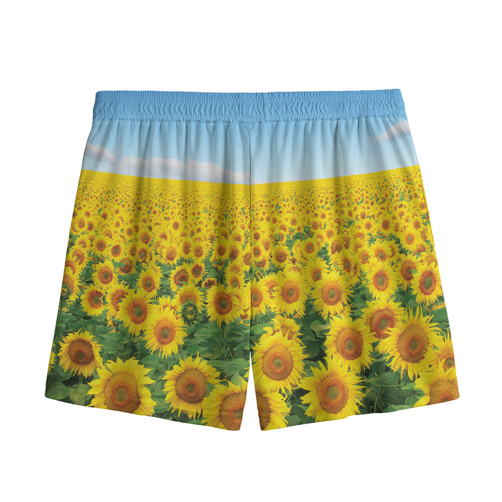 Sunflower Field Print Mesh Shorts
