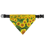 Sunflower Field Print Over The Collar Dog Bandana