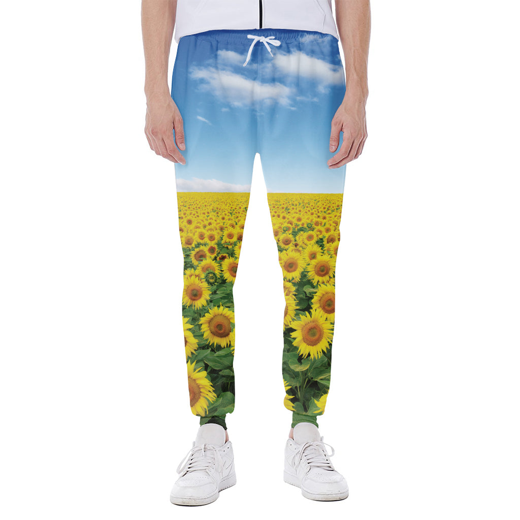 Sunflower Field Print Scuba Joggers