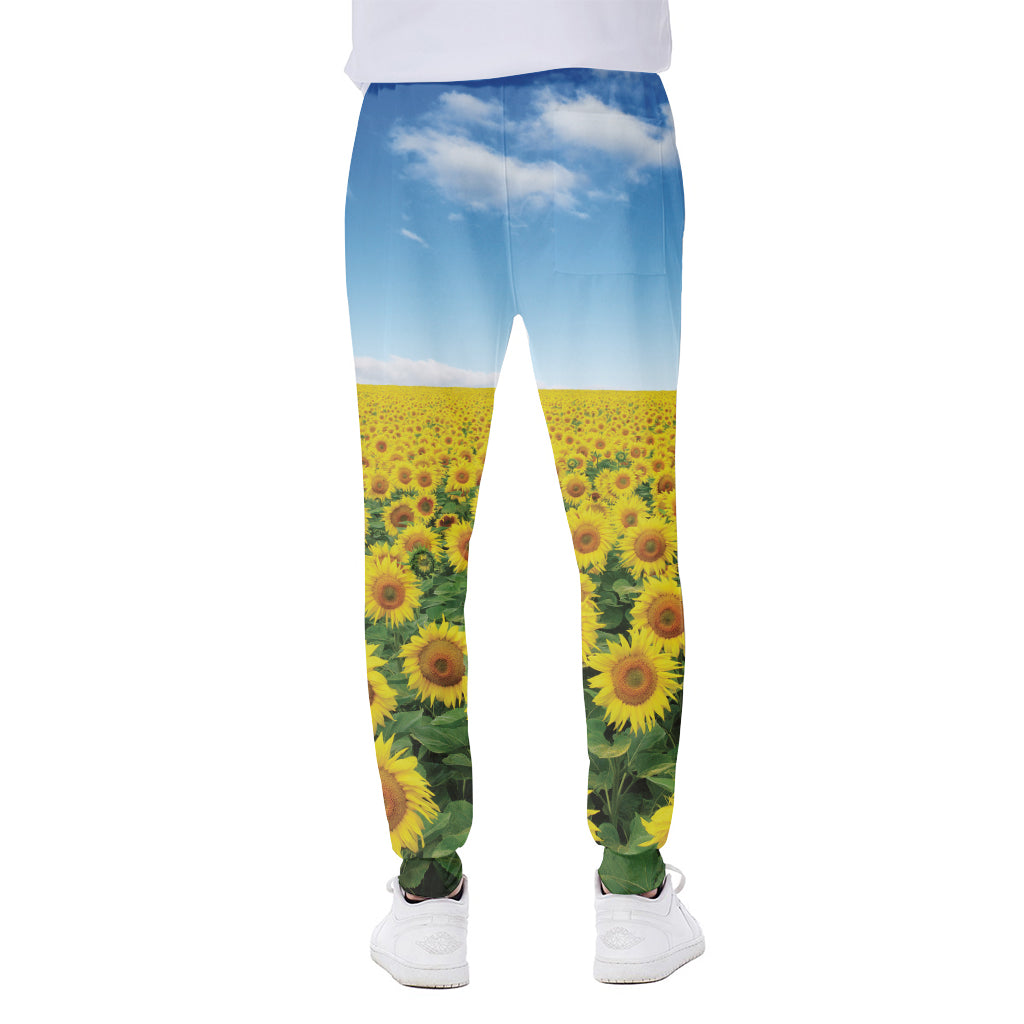 Sunflower Field Print Scuba Joggers