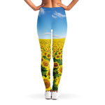 Sunflower Field Print Women's Leggings