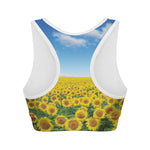 Sunflower Field Print Women's Sports Bra