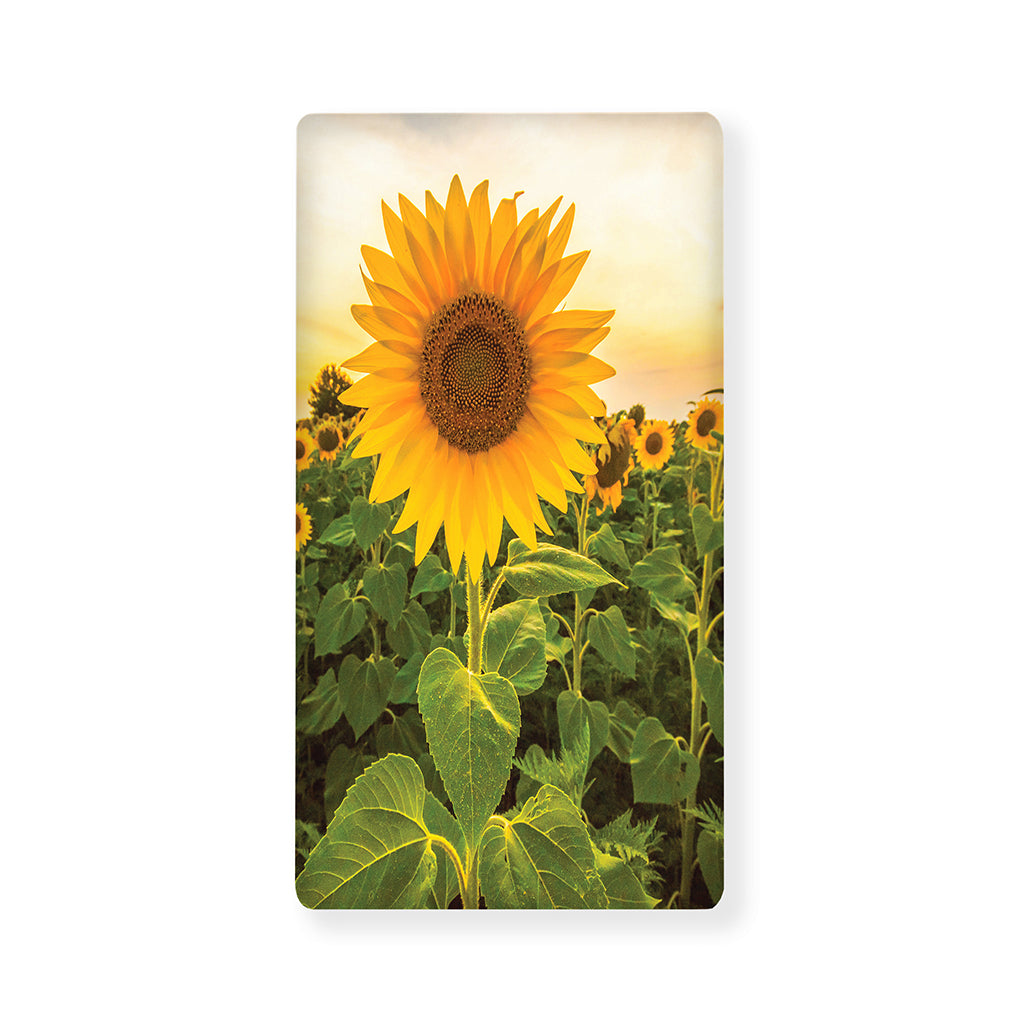 Sunflower Landscape Print Baby Crib Sheet