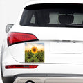 Sunflower Landscape Print Car Sticker