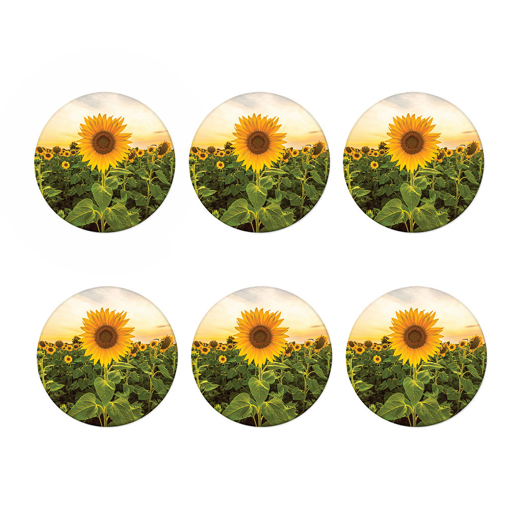 Sunflower Landscape Print Coaster Set
