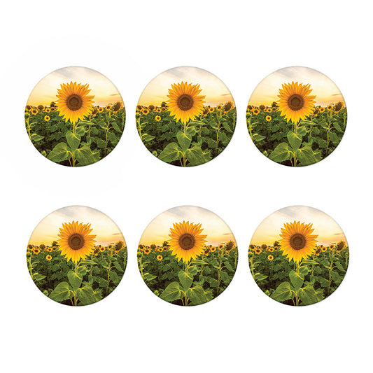 Sunflower Landscape Print Coaster Set