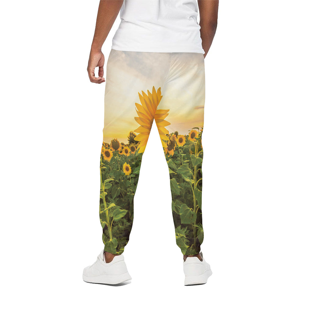 Sunflower Landscape Print Cotton Pants