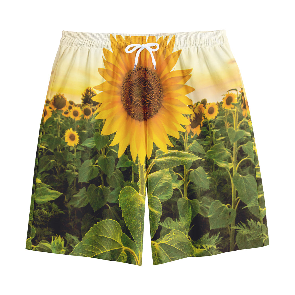 Sunflower Landscape Print Cotton Shorts