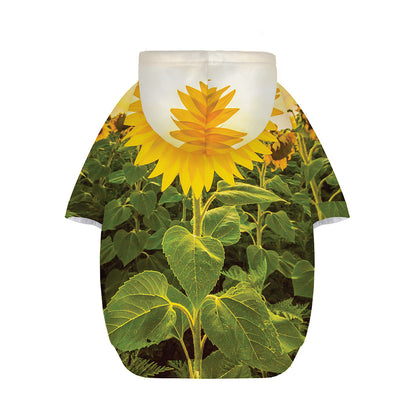 Sunflower Landscape Print Dog Zip Up Hoodie