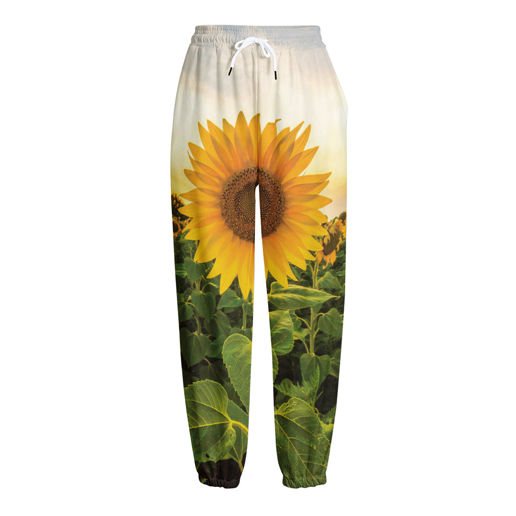 Sunflower Landscape Print Fleece Lined Knit Pants