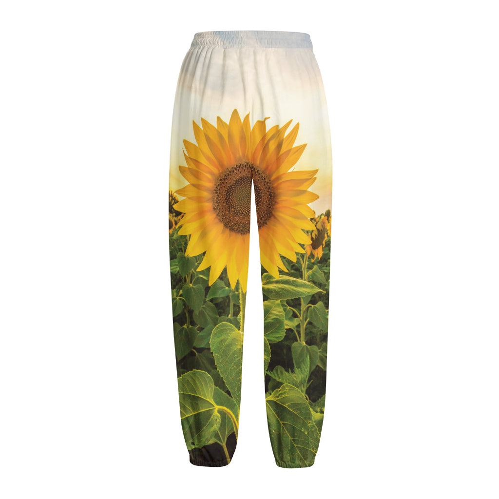 Sunflower Landscape Print Fleece Lined Knit Pants