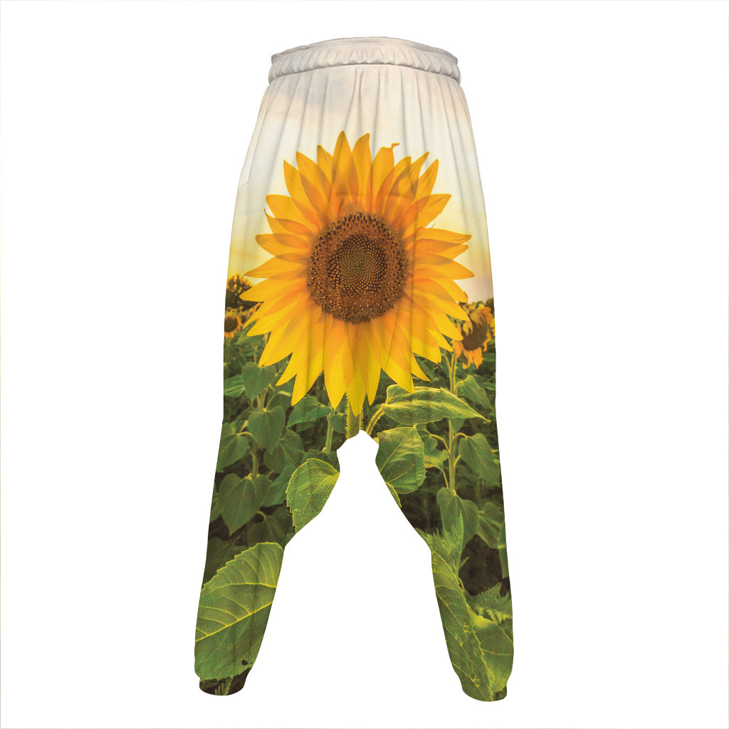 Sunflower Landscape Print Hammer Pants