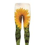 Sunflower Landscape Print Men's leggings