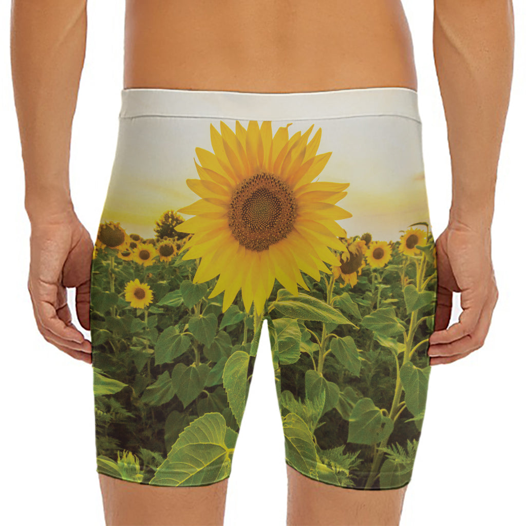 Sunflower Landscape Print Men's Long Boxer Briefs