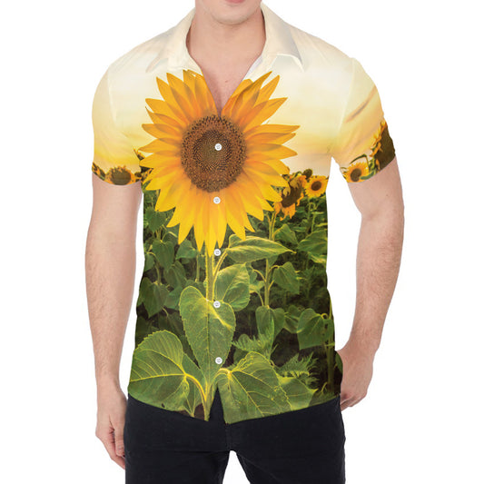 Sunflower Landscape Print Men's Shirt