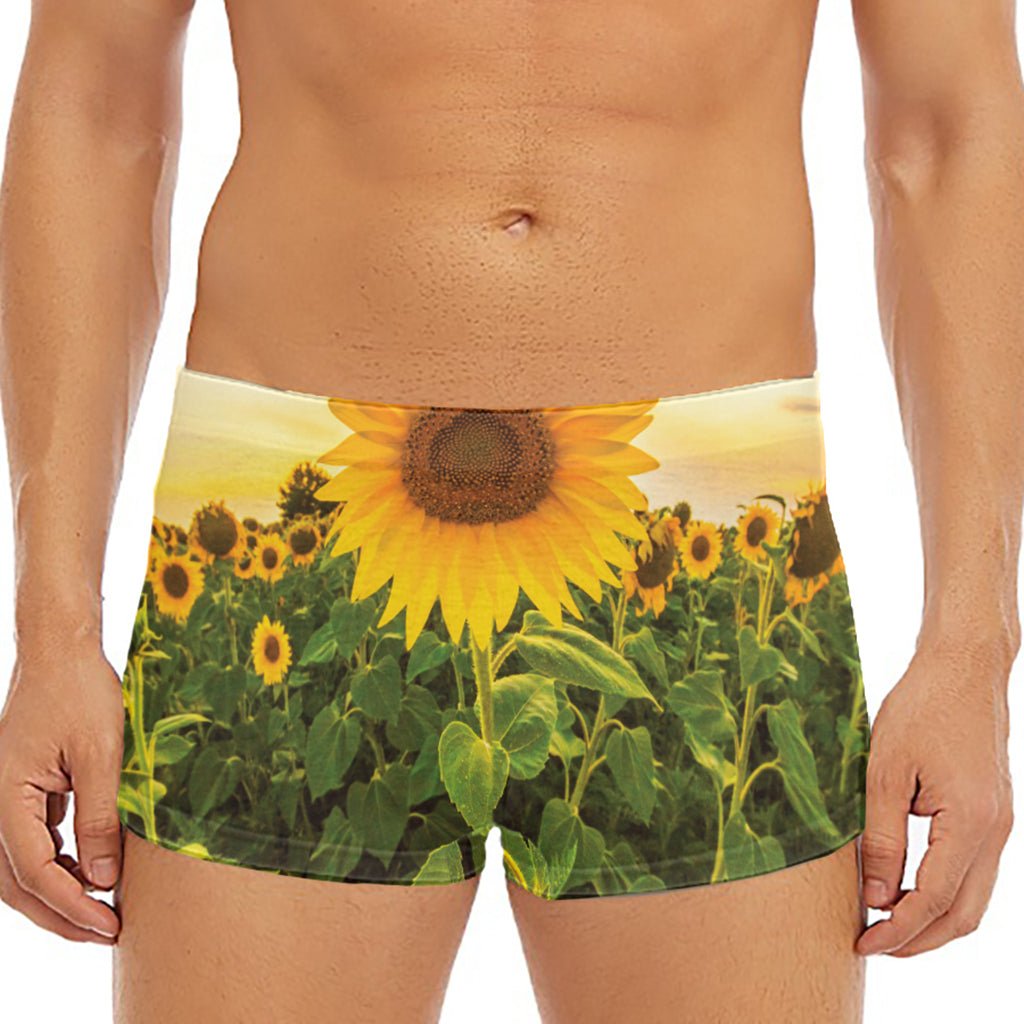 Sunflower Landscape Print Men's Short Boxer Briefs