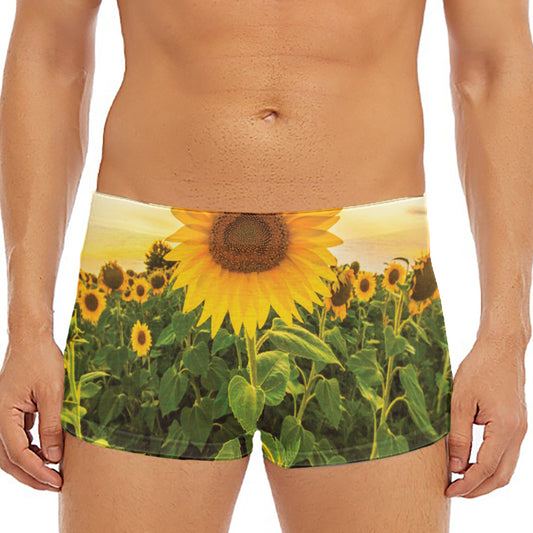 Sunflower Landscape Print Men's Short Boxer Briefs