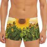 Sunflower Landscape Print Men's Short Boxer Briefs