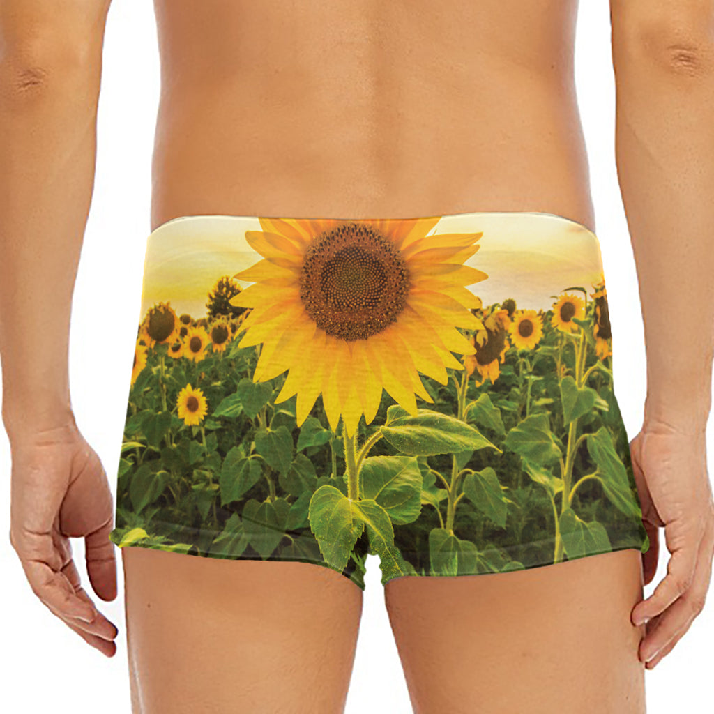 Sunflower Landscape Print Men's Short Boxer Briefs