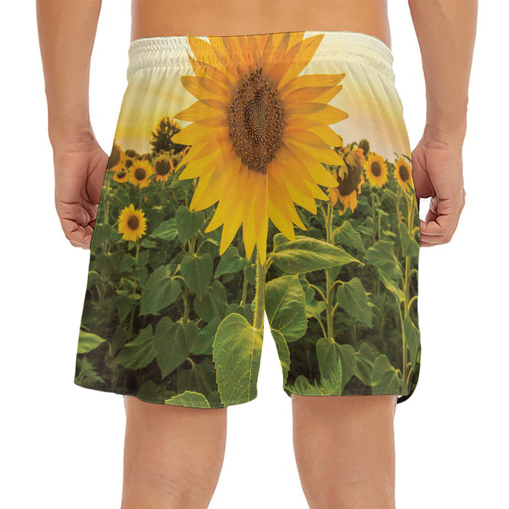 Sunflower Landscape Print Men's Split Running Shorts
