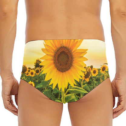 Sunflower Landscape Print Men's Triangle Swim Briefs