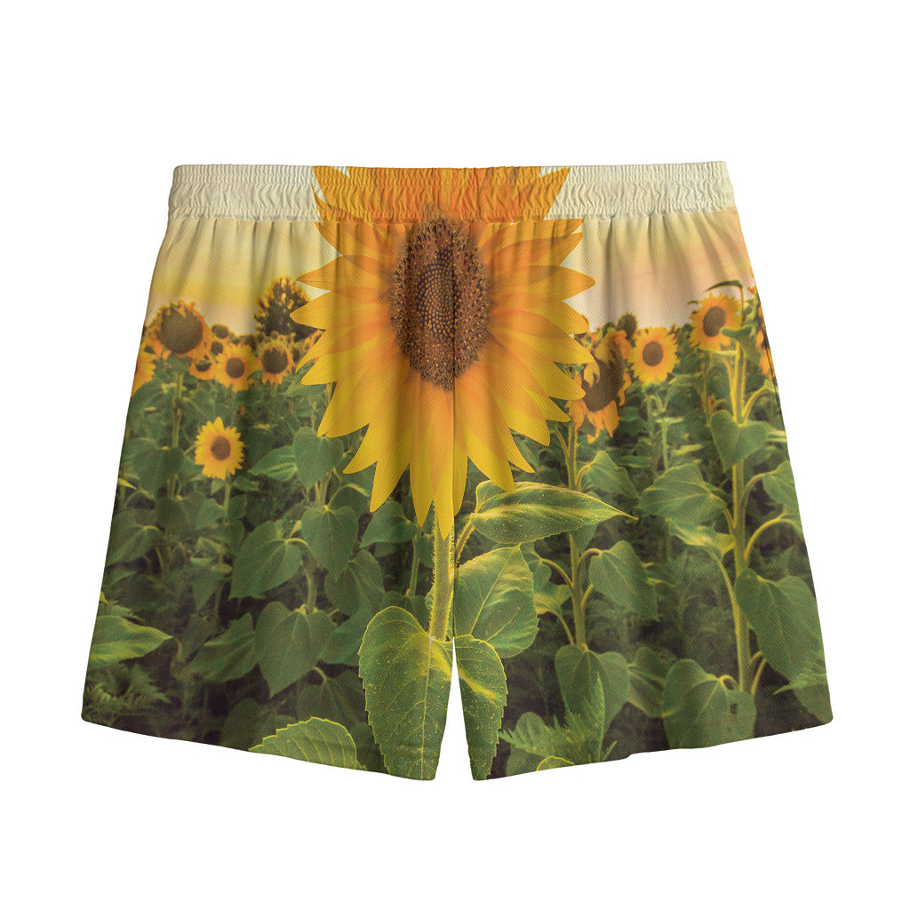 Sunflower Landscape Print Mesh Shorts