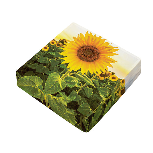 Sunflower Landscape Print Outdoor Seat Cushion Cover