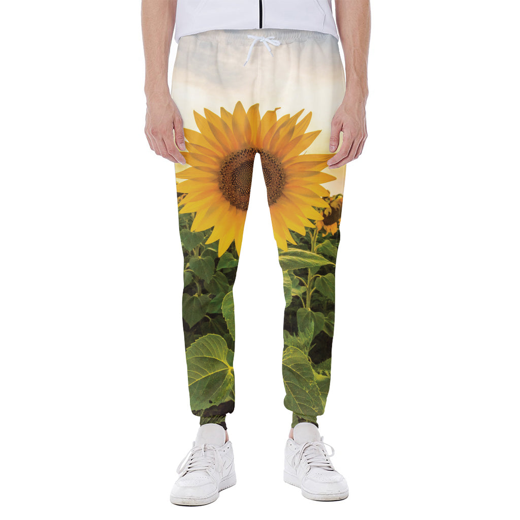 Sunflower Landscape Print Scuba Joggers