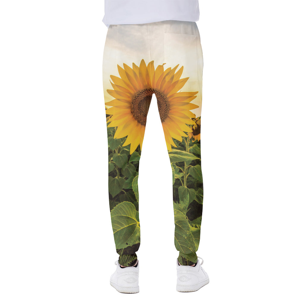 Sunflower Landscape Print Scuba Joggers