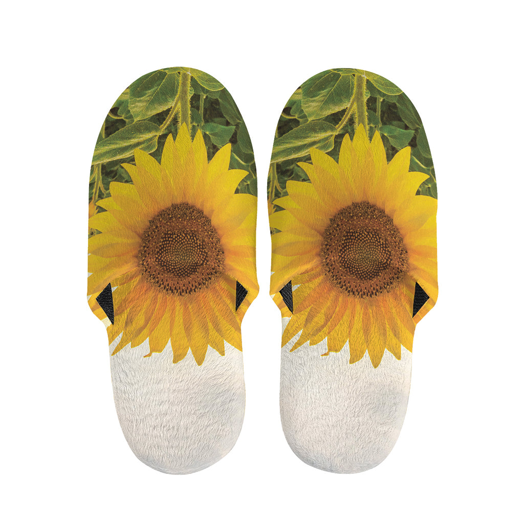 Sunflower Landscape Print Slippers