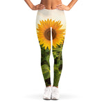 Sunflower Landscape Print Women's Leggings