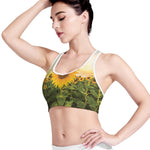 Sunflower Landscape Print Women's Sports Bra