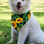 Sunflower Pattern Print Over The Collar Dog Bandana