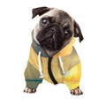 Sunrise Beach Print Dog Zip Up Hoodie