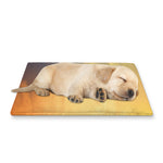 Sunrise Beach Print Pet Cooling Mat Cover