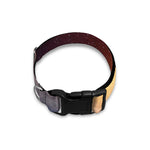 Sunrise Earth Print Dog Collar