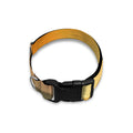 Sunrise Field Print Dog Collar