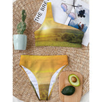 Sunrise Field Print One Shoulder Bikini Top