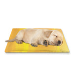 Sunrise Field Print Pet Cooling Mat Cover