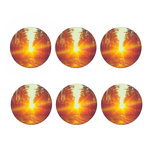 Sunrise Forest Print Coaster Set