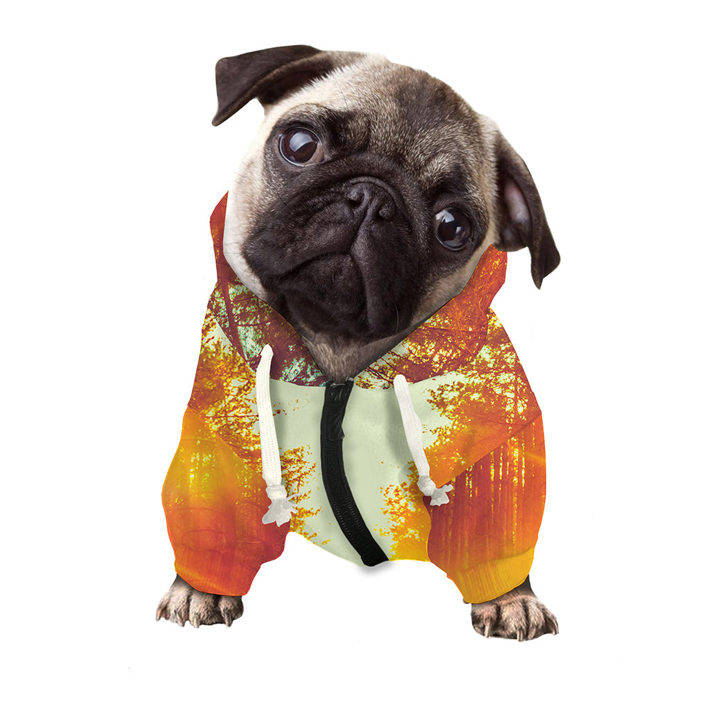 Sunrise Forest Print Dog Zip Up Hoodie