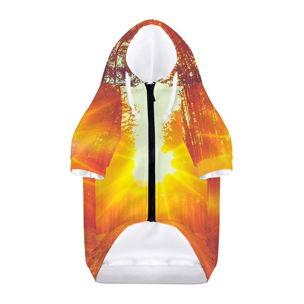 Sunrise Forest Print Dog Zip Up Hoodie
