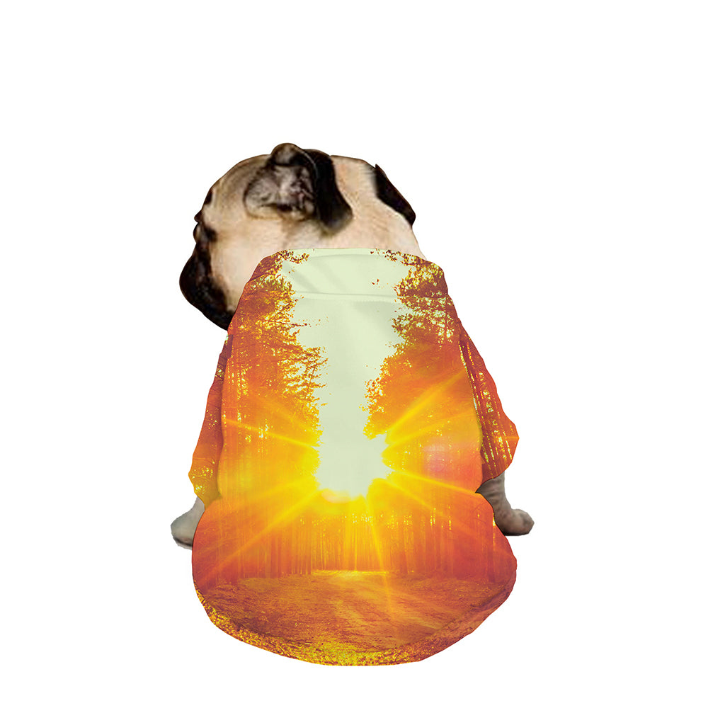 Sunrise Forest Print Dog Zip Up Jacket