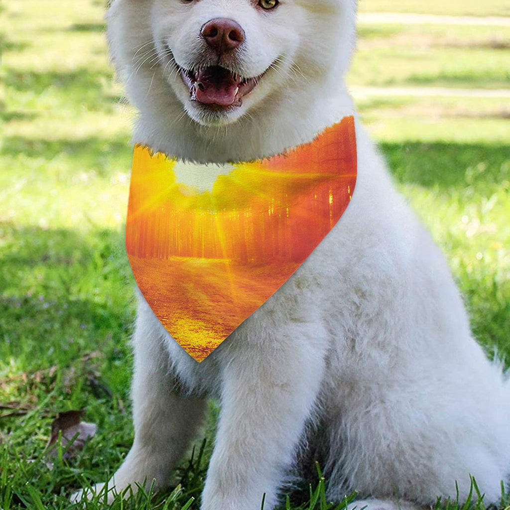 Sunrise Forest Print Over The Collar Dog Bandana