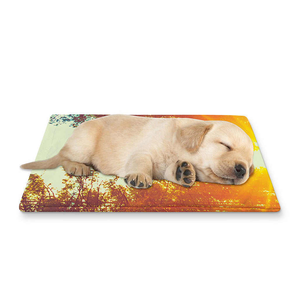 Sunrise Forest Print Pet Cooling Mat Cover