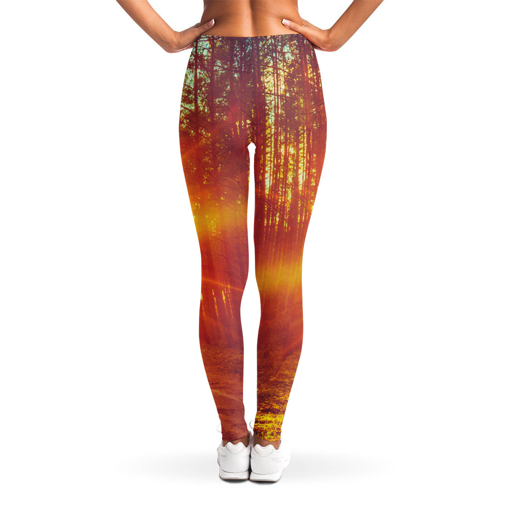 Sunrise Forest Print Women's Leggings