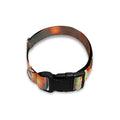 Sunrise Japanese Cherry Blossom Print Dog Collar