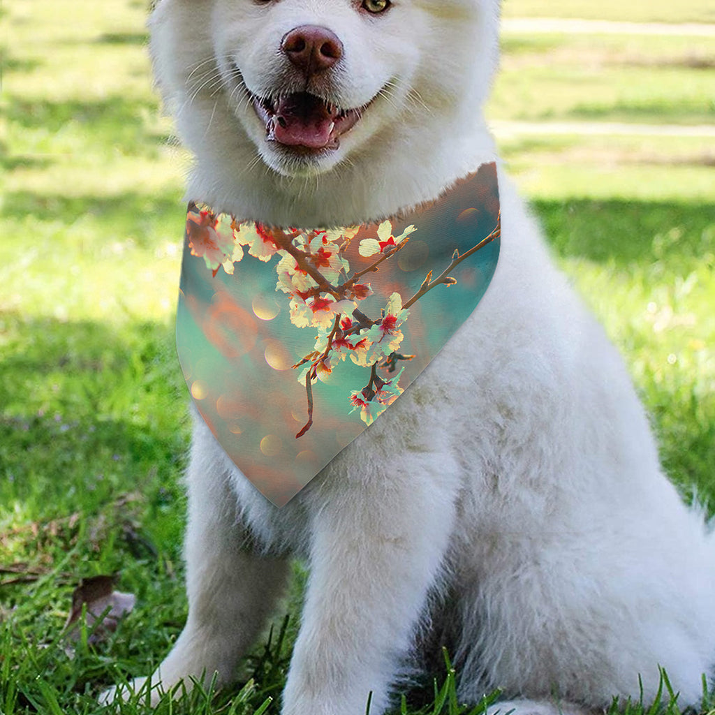 Sunrise Japanese Cherry Blossom Print Over The Collar Dog Bandana