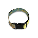 Sunrise Meadow Print Dog Collar