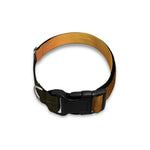 Sunrise Mountain Print Dog Collar